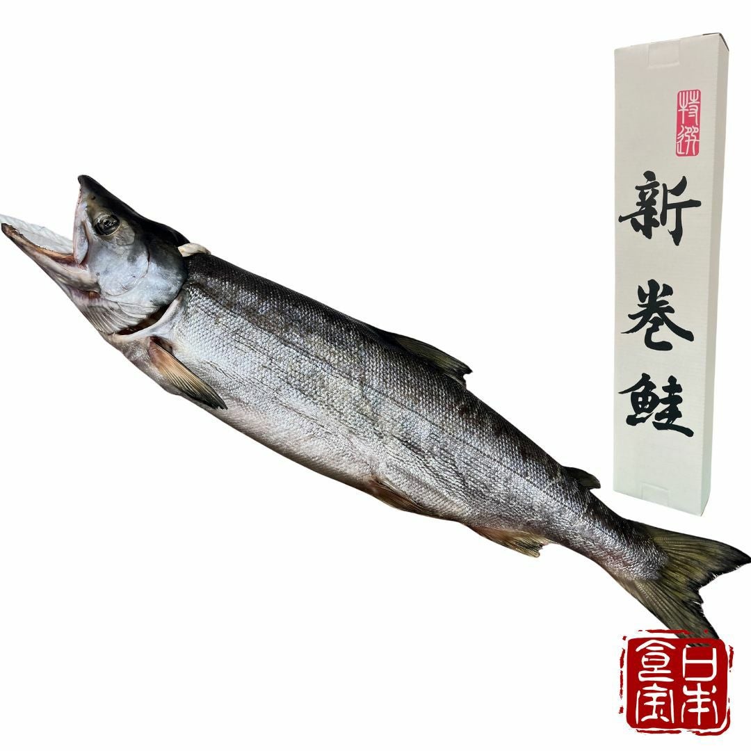 北海道産】新巻鮭 寒風干し 1本 2.5kg前後 （産地直送） | 皆が知ら