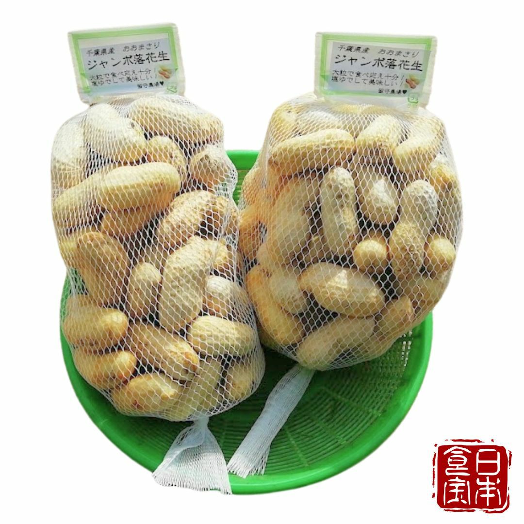 千葉県産】おおまさり（生落花生） （産地直送） | 皆が知らない日本の食宝