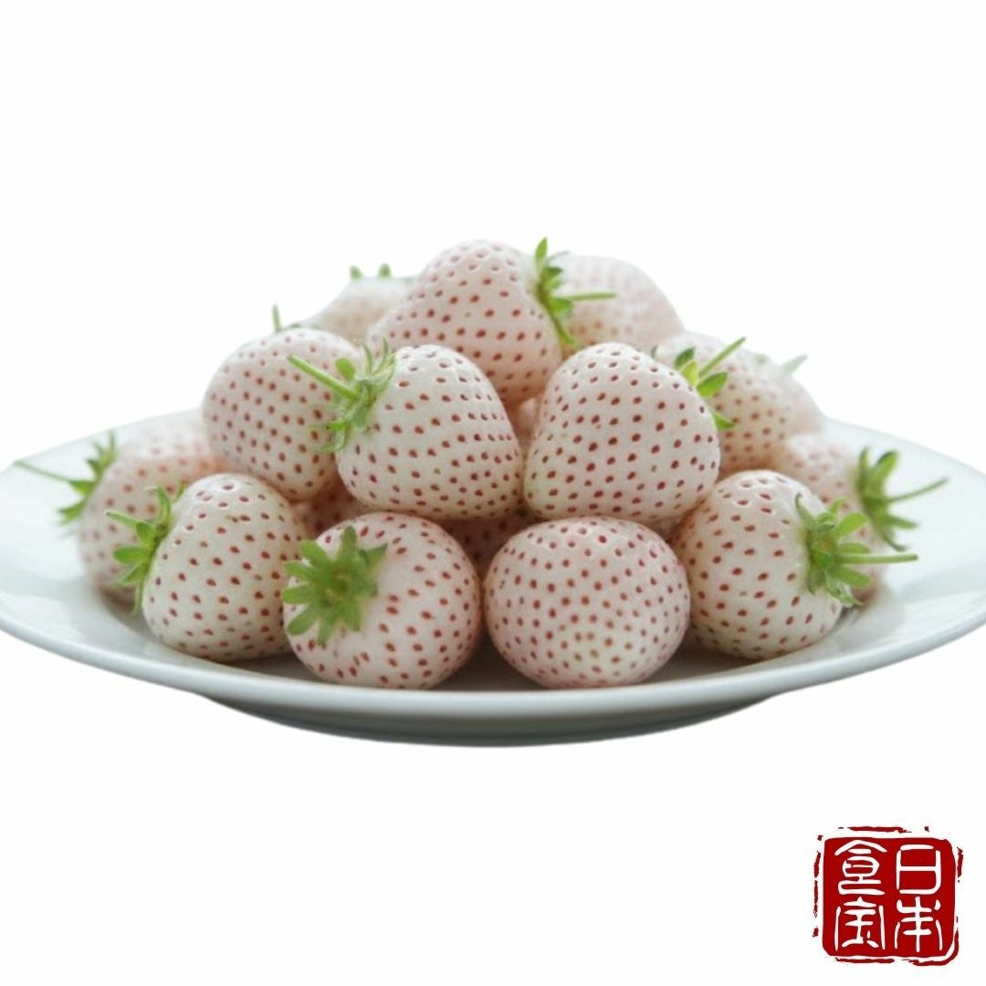 愛知県産】白いちご White Fairy | 皆が知らない日本の食宝